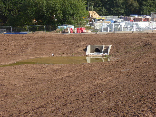 A attenuation pond on the outskirts of a construction site.