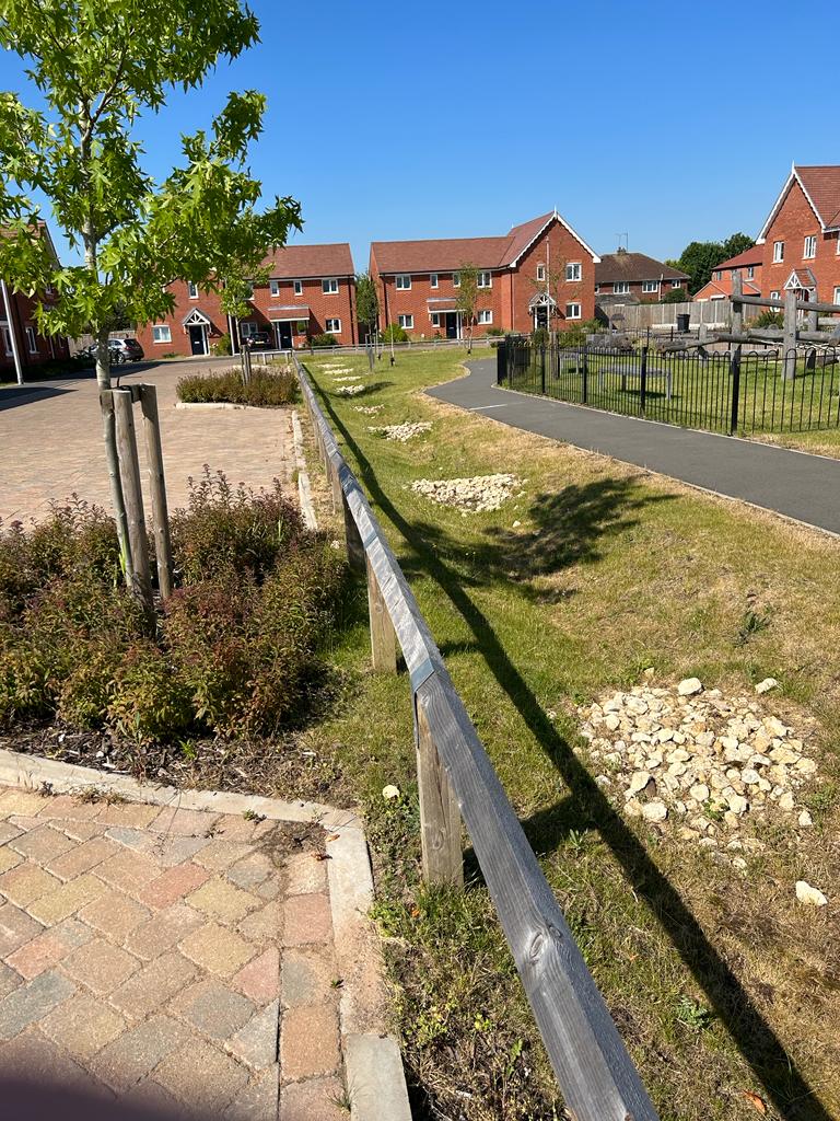 swale drainage near playground, new houses, SuDS