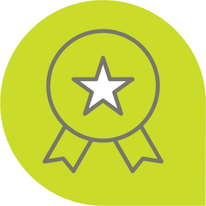Expert - Ribbon with star in the middle.
